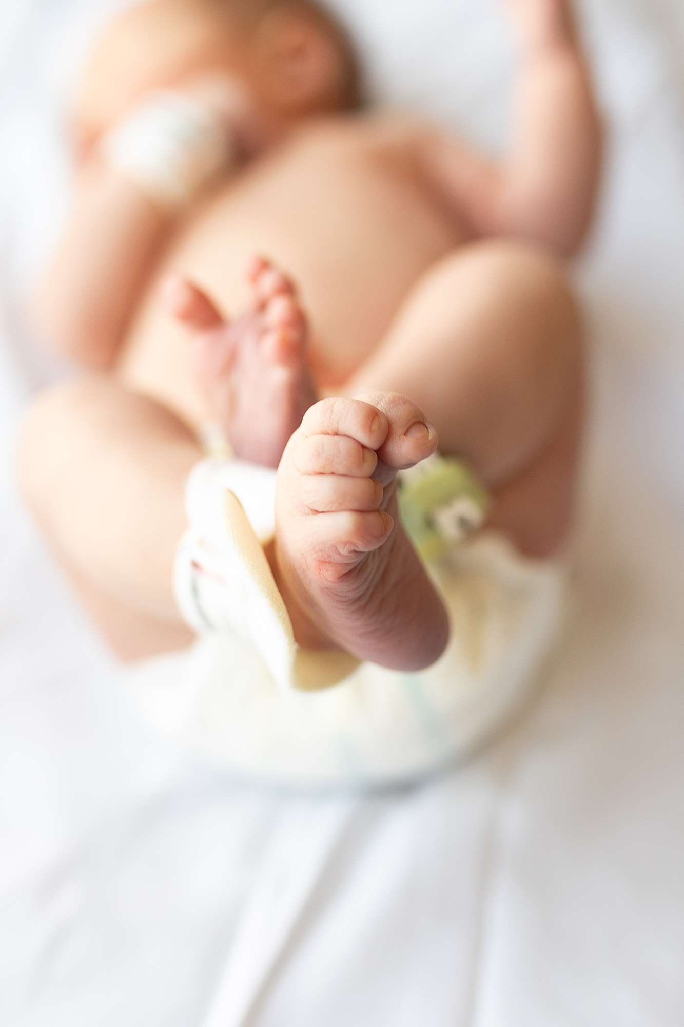 Newborn feet during a Fresh 48 Photography session in Mankato, MN.