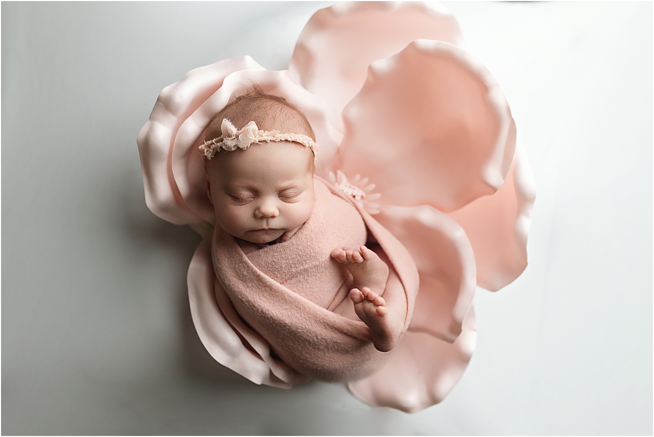 Baby girl wrapped in pink laying in a large pink flower.